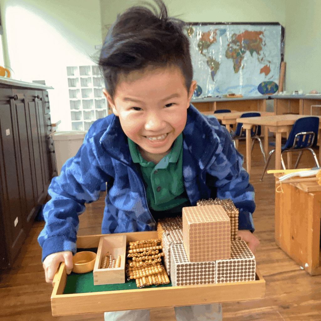 montessori myths