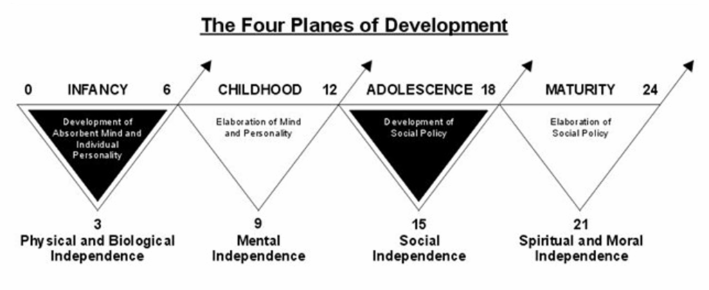 montessori fundamentals