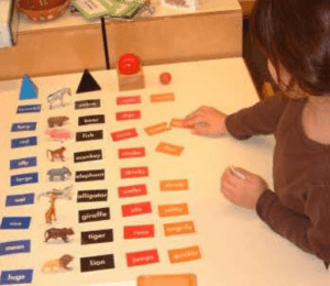 Kindergarten year learning Montessori